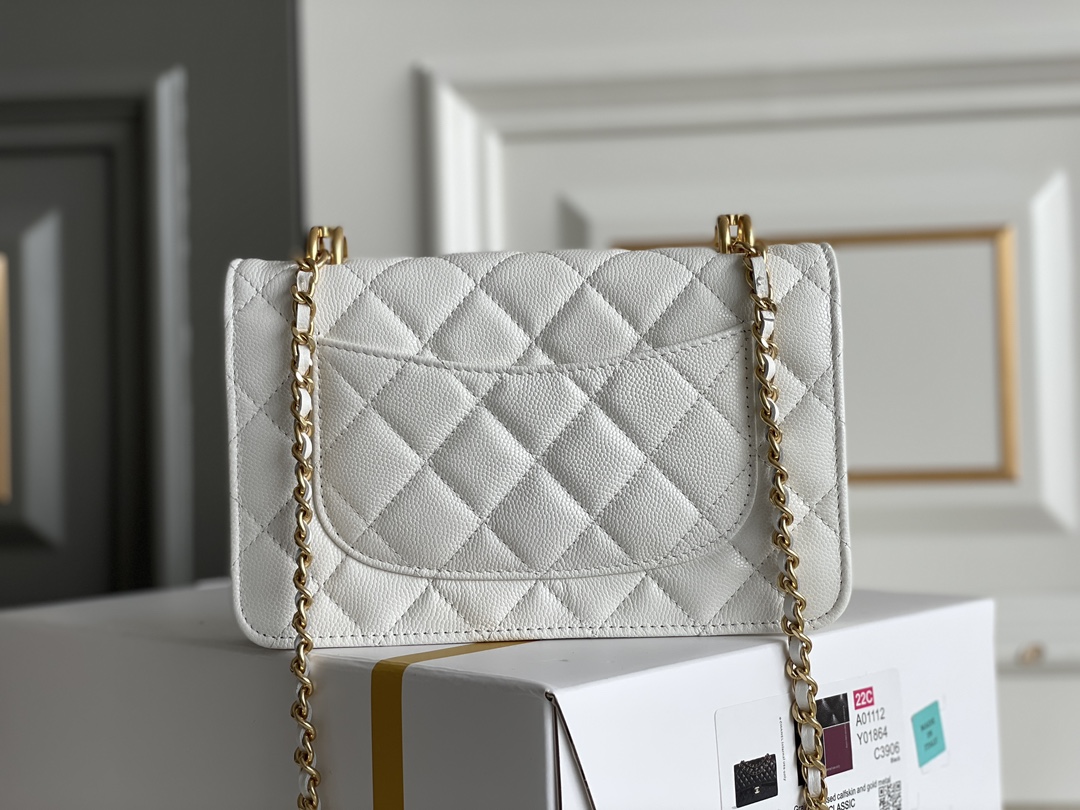 Chanel WOC Bags